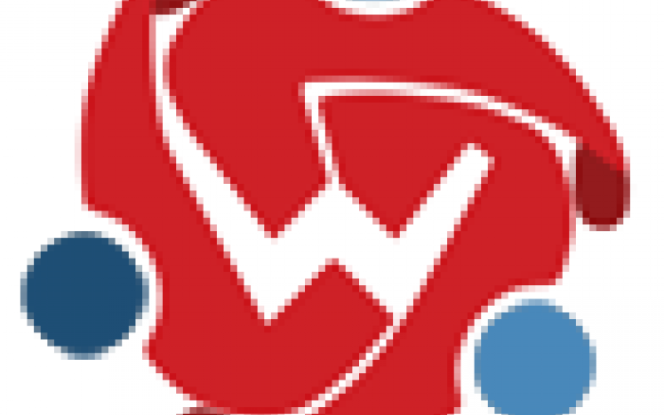 Wakefield Public Schools Logo